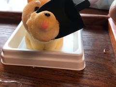 -柴犬高等学院·狗咖·柴犬售卖·宠物训练