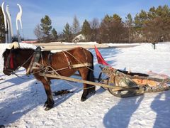 -北极村旅游风景区