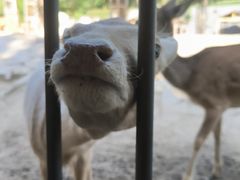 -辛玛王国游乐园