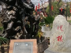 -大槐树寻根祭祖园