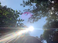 -广州白江湖森林公园