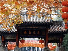 -大槐树寻根祭祖园