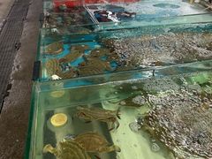 -南戴河海滨市场