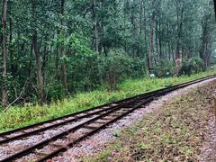 -合肥滨湖国家森林公园