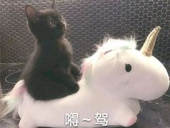 -麦当劳(金狮广场店)
