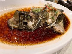 清蒸老虎斑鱼-粤汕小厨(北站店)
