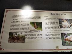 -飞来湖湿地公园