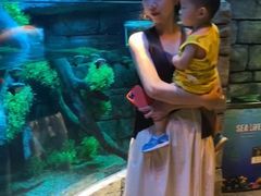 -沈阳海洋探索中心