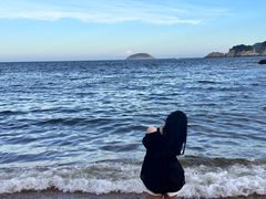 -枸杞岛