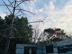-上海吴淞炮台湾国家湿地公园