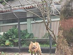 -广州动物园