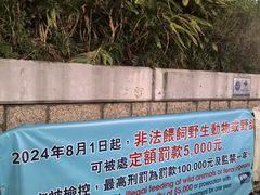 -九龙公园
