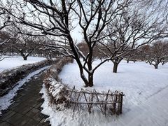 -五台山风景区