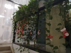 -一伽瑜伽·普拉提