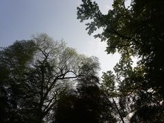 -藏龙百瀑风景区