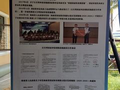 -盘古掌冲浪俱乐部(日月湾店)