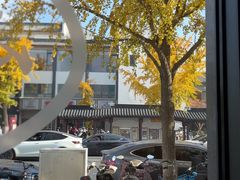 -小姜锅贴(凤凰街店)