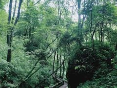 -青城山