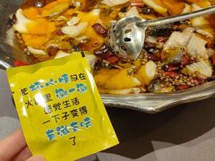 -沸腾鱼乡(知春路分店)