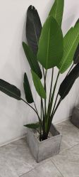 -D.z Salon 无痕接发潮店