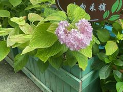-阳光家常菜游客餐厅(千佛山店)