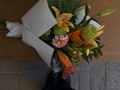 -溪岸路花鸟市场