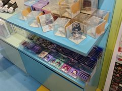 -IPSTAR|潮玩星球(新百店)