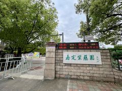 -嘉定紫藤园