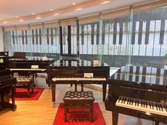 -柏斯音乐艺术中心·钢琴·吉他(上音店)