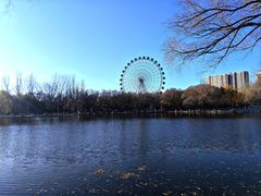 -青城公园