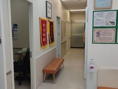 -爱妮康宠物医院·干细胞免疫细胞·肿瘤·心脏(张江店)