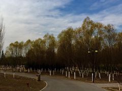 -永定河休闲森林公园