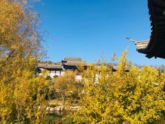 -威海华夏城景区