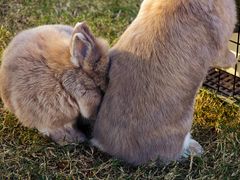 -上海交通大学(闵行校区)