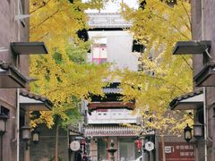 -华声天桥民俗文化园