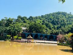 -西双版纳原始森林公园