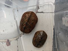 -湖南生物机电职业技术学院(东湖校区)
