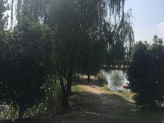 -扬州天乐湖嬉乐谷