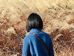 -昆山城市生态森林公园