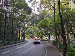 -三水森林公园