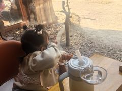 -上海野生动物园老虎餐厅