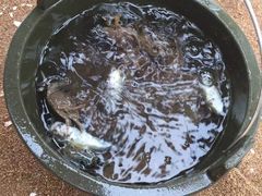 -南戴河旅游度假区