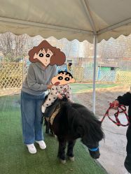 -萌宠亲子动物乐园(槐房万达店)