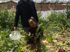 -万源龙顺度假庄园生态观光园