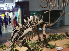 -自贡恐龙博物馆