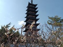 -上海方塔园