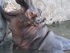 -保定市动物园