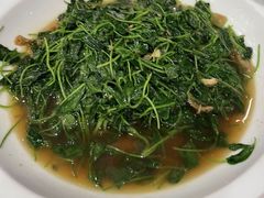 蚌肉金花菜-清华酒楼(盘门店)