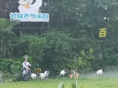 -广州长隆飞鸟乐园