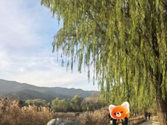 -国家植物园南园